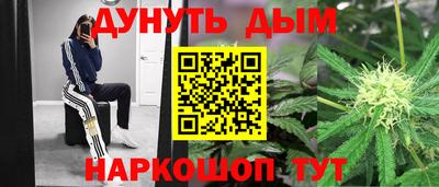 стафф Братск