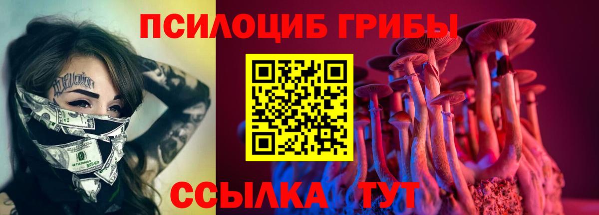 Галлюциногенные грибы Cubensis  Вход с VPN  Богданович 